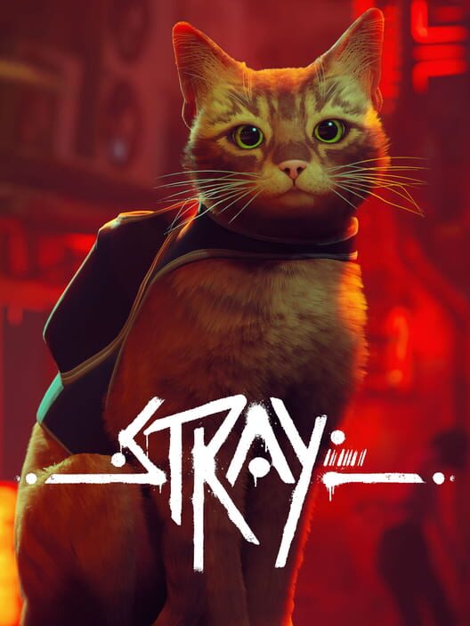 Stray borítókép