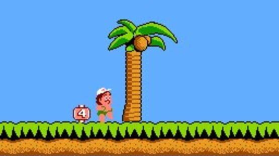 Adventure Island képernyőkép 5