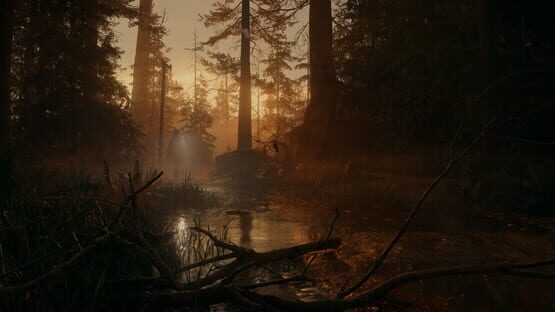 Alan Wake II képernyőkép 1