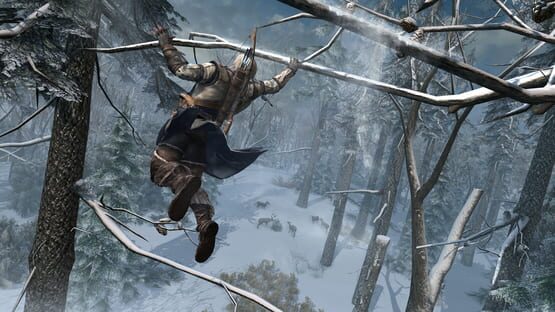 Assassin's Creed III képernyőkép 10