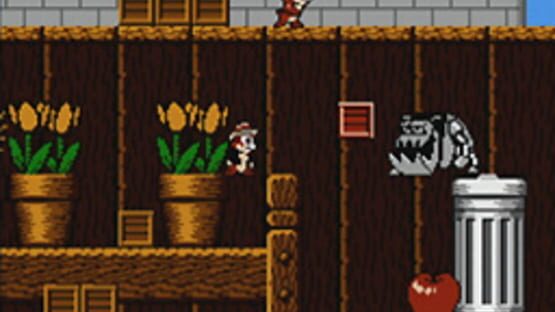Chip 'n Dale Rescue Rangers képernyőkép 4