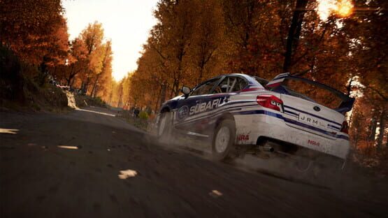 DiRT 4 képernyőkép 3