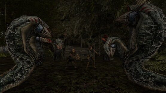 Gothic II: Complete Classic képernyőkép 2
