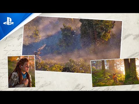 Trailer videó előnézete