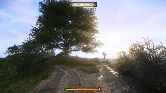 Kingdom Come: Deliverance képernyőkép 8