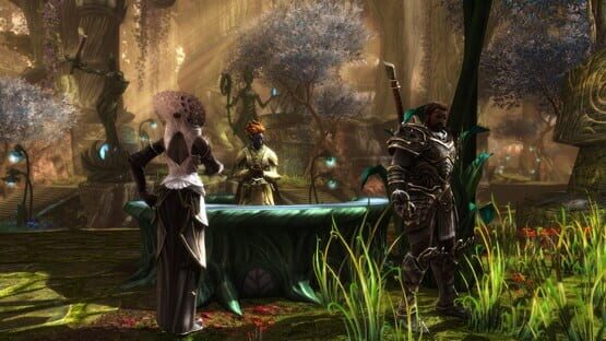 Kingdoms of Amalur: Re-Reckoning képernyőkép 6