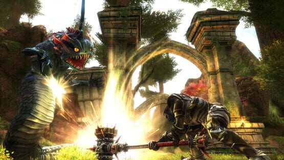 Kingdoms of Amalur: Reckoning képernyőkép 3