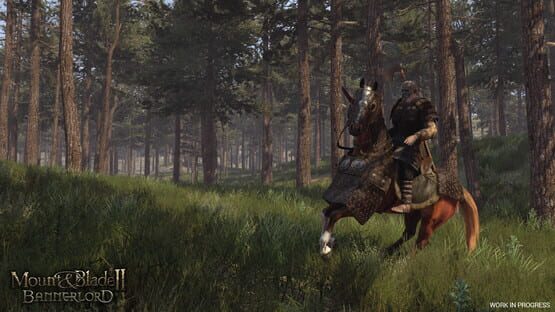 Mount & Blade II: Bannerlord képernyőkép 3