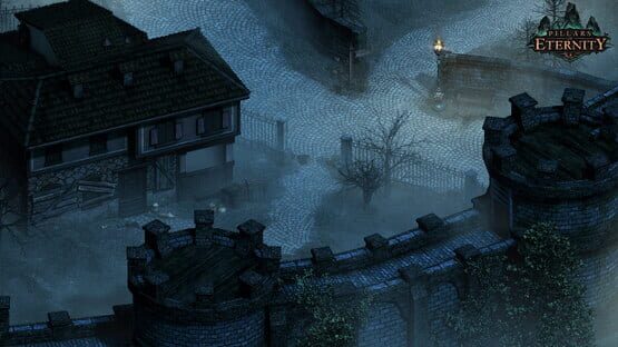 Pillars of Eternity képernyőkép 3