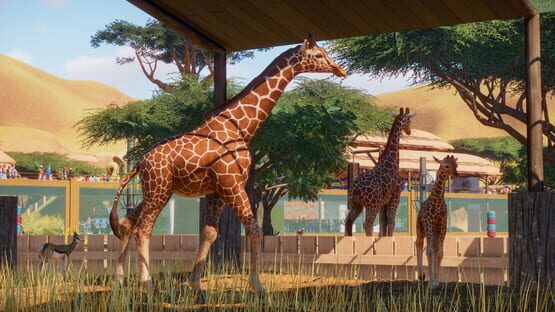 Planet Zoo képernyőkép 2