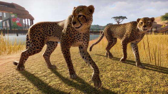 Planet Zoo képernyőkép 4