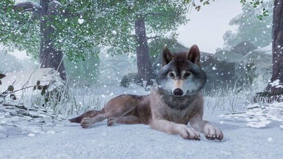 Planet Zoo képernyőkép 8