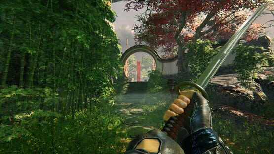 Shadow Warrior képernyőkép 5
