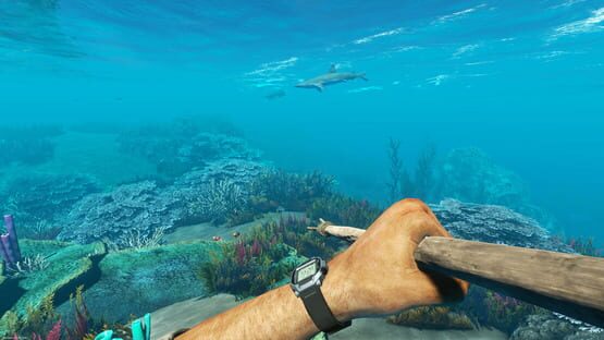 Stranded Deep képernyőkép 8