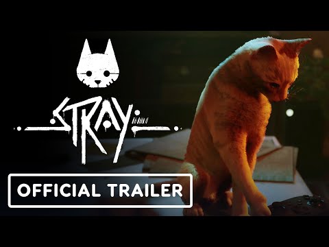 Release Date Trailer videó előnézete