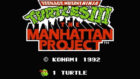 Teenage Mutant Ninja Turtles III: The Manhattan Project képernyőkép 2