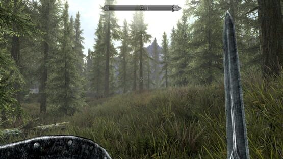 The Elder Scrolls V: Skyrim képernyőkép 1