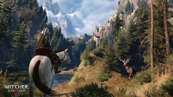 The Witcher 3: Wild Hunt képernyőkép 5