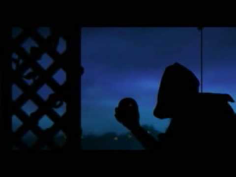 Trailer videó előnézete