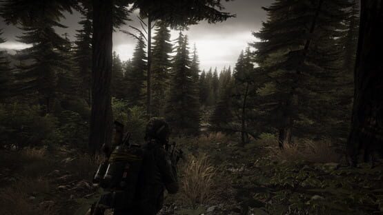 Tom Clancy's Ghost Recon: Wildlands képernyőkép 6