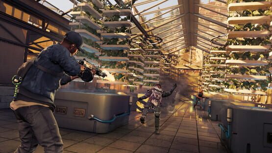 Watch Dogs 2 képernyőkép 11