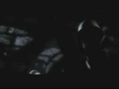Trailer videó előnézete