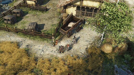 Divinity: Original Sin II képernyőkép 1