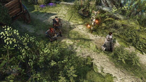 Divinity: Original Sin II képernyőkép 5