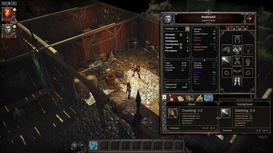 Divinity: Original Sin képernyőkép 2