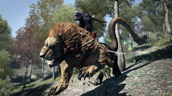 Dragon's Dogma: Dark Arisen képernyőkép 11