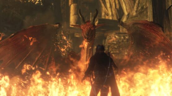 Dragon's Dogma: Dark Arisen képernyőkép 12
