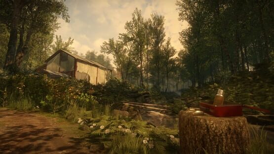 Everybody's Gone to the Rapture képernyőkép 2
