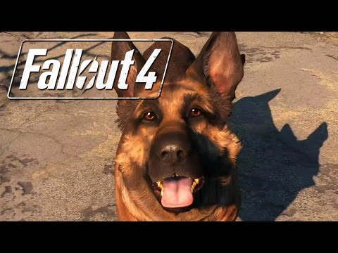 Trailer videó előnézete