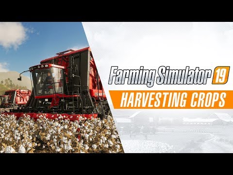 Trailer videó előnézete