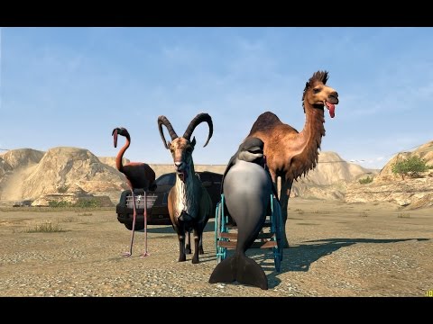 Trailer videó előnézete