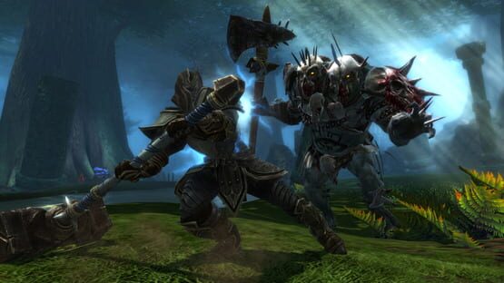 Kingdoms of Amalur: Reckoning képernyőkép 5