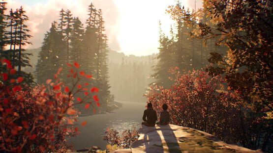 Life is Strange 2 képernyőkép 5