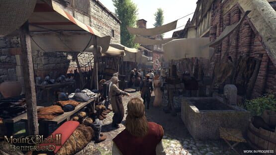 Mount & Blade II: Bannerlord képernyőkép 5