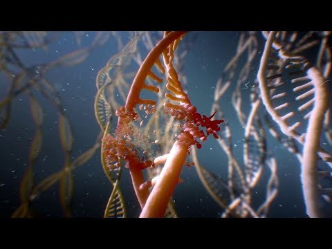 Release Date Trailer videó előnézete