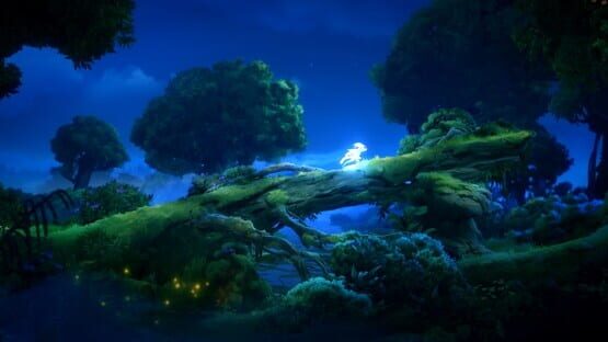 Ori and the Will of the Wisps képernyőkép 4