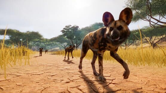 Planet Zoo képernyőkép 1
