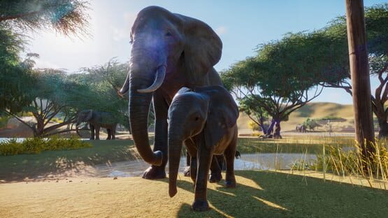 Planet Zoo képernyőkép 5