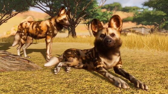 Planet Zoo képernyőkép 10