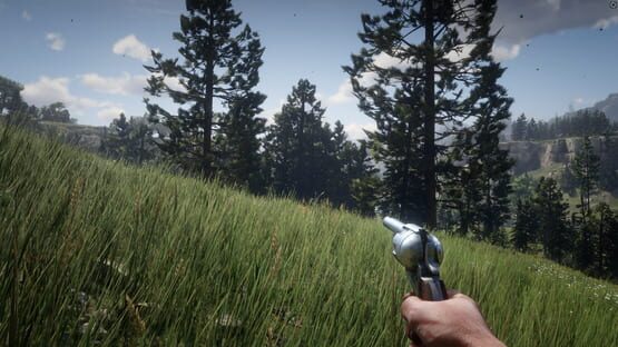 Red Dead Redemption 2 képernyőkép 12