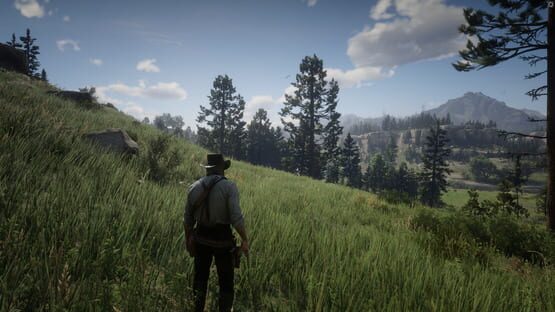 Red Dead Redemption 2 képernyőkép 5