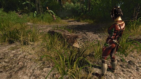 Risen 2: Dark Waters képernyőkép 3
