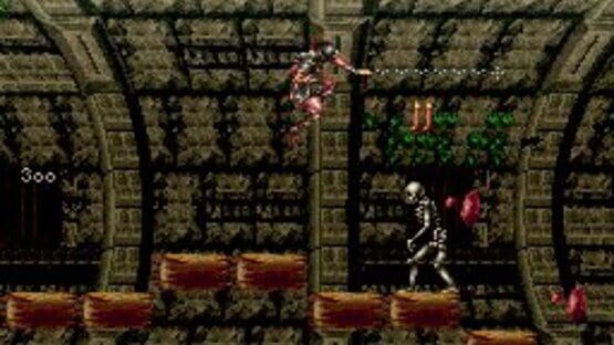 Super Castlevania IV képernyőkép 6