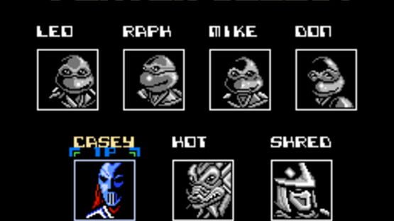 Teenage Mutant Ninja Turtles: Tournament Fighters képernyőkép 4