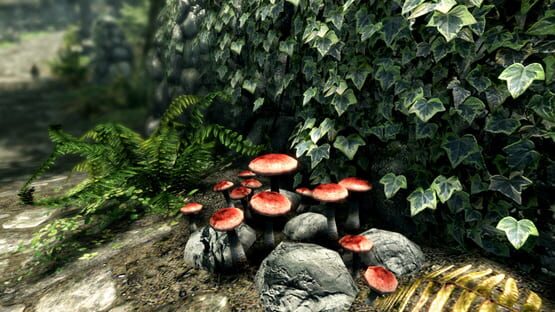 The Elder Scrolls V: Skyrim - Anniversary Edition képernyőkép 14