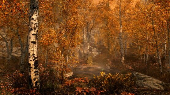 The Elder Scrolls V: Skyrim - Anniversary Edition képernyőkép 8